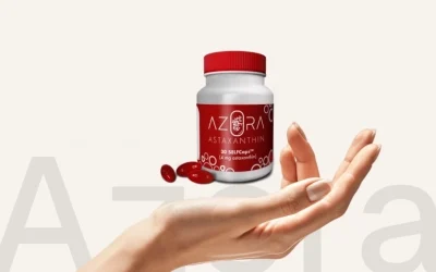 Case Study: Digital Transformation and E-commerce Optimization for Algicel – Leading the Microalgae Revolution